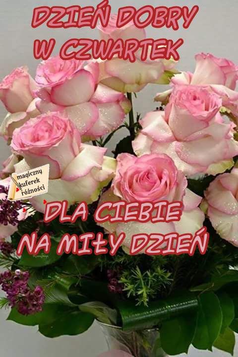 Bukiet różowych róż miłego czwartku